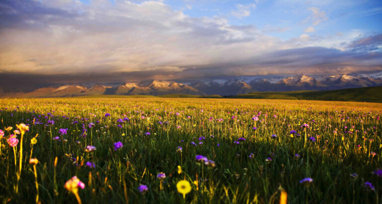 Zhang Hanping - Paradise-on-earth-9